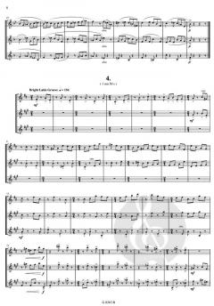 Secrets of the Ocean von Willy Bauweraerts 