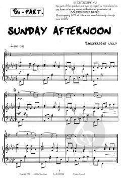 Sunday Afternoon von Willy Bauweraerts 