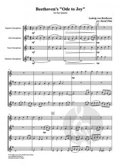 Ode To Joy von Ludwig van Beethoven 