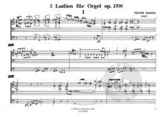 Fünf Ludien von Peter Bares 