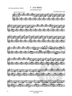 In Circulo Anni von Kurt Bikkembergs 