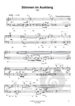 Stimmen im Ausklang von Thomas Blomenkamp 