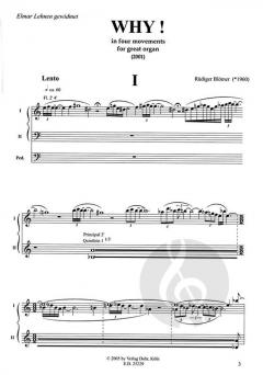 WHY! von Rüdiger Blömer 