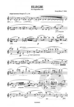 Elegie von Georg Bönn 