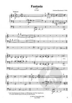 Fantasia von Ferdinand Bruckmann 
