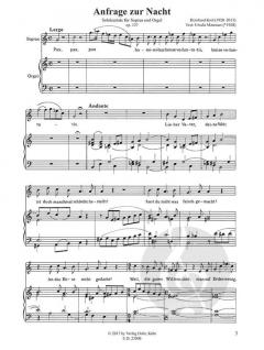 Anfrage zur Nacht von Bernhard Krol 