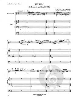 Stufen von Norbert Laufer 