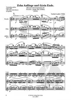 Zehn Anfänge und (k)ein Ende von Norbert Laufer 