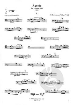 Agonie von Stefan Johannes Walter 