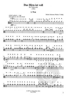 Das Hirn ist voll von Stefan Johannes Walter 