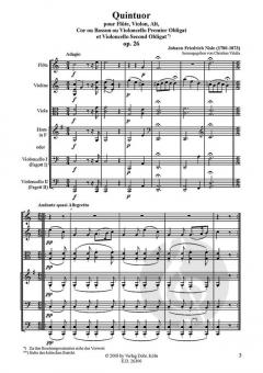 Quintuor für Flöte, Violine, Viola, Horn (Fag./Vc.) und Violoncello (Johann Friedrich Nisle) 
