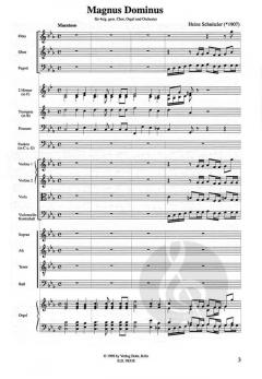 Magnus Dominus (Heinrich Schnitzler) 