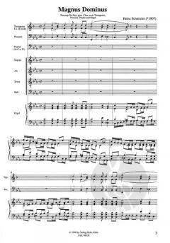 Magnus Dominus (Heinrich Schnitzler) 