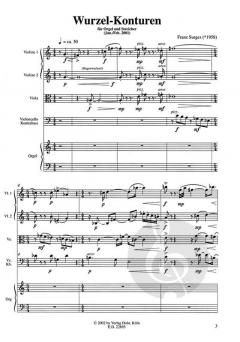 Wurzel-Konturen (Franz Surges) 