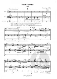Nebel-Fassaden für Flöte, Viola und kleine Trommel (Franz Surges) 