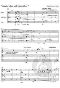 Music, when soft voices die ... von Stefan Horz für Holzbläser Trio im Alle Noten Shop kaufen