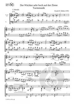 Der Wächter sehr hoch auf der Zinne (Friedel W. Böhler) 