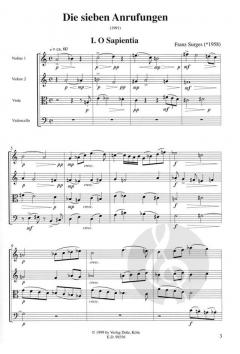 Die sieben Anrufungen von Franz Surges 