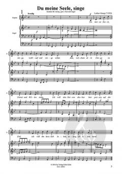 Du meine Seele, singe (Lothar Graap) 