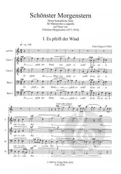 Schönster Morgenstern (Franz Surges) 