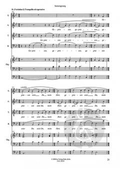 Sonnengesang für zwei Solisten, Knabenchor, gem. Chor und Orgel (Hatto Ständer) 