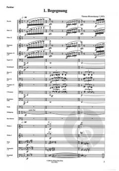 ... zu den zerbrochenen Ziegeln Babels' von Thomas Blomenkamp 