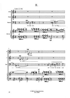 Der Weise von Norbert Laufer 