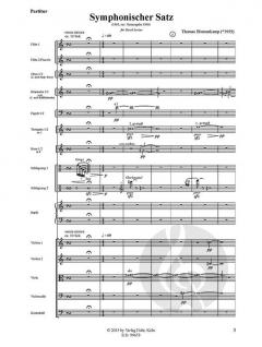 Symphonischer Satz von Thomas Blomenkamp 