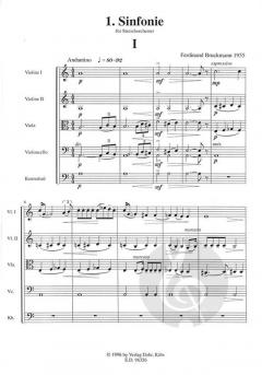 1. Sinfonie von Ferdinand Bruckmann 