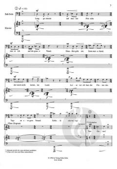 Ballade von Zweifel und Zuversicht von Henning Frederichs 