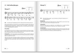 Voicecoaching (Englische Ausgabe) von Karin Ploog 