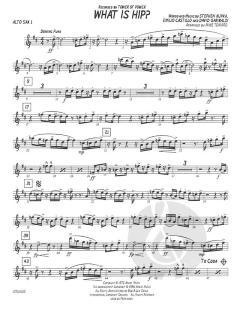 What Is Hip? von David Garibaldi 