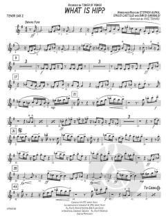 What Is Hip? von David Garibaldi 