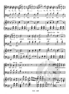 Ja, so singt man nur in Wien (Johann Strauss (Vater)) 