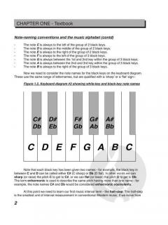 Contemporary Music Theory Level 1 von Mark Harrison 