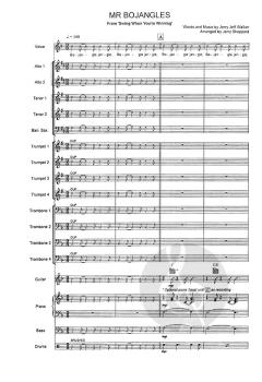 Mr. Bojangles von Jerry Jeff Walker 