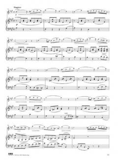 Violinkonzert Nr. 1 a-Moll von Jean-Baptiste Accolay im Alle Noten Shop kaufen