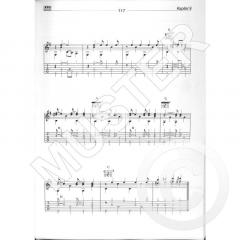 Fingerpicking Guitar von Dieter Szametat 