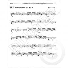 Die 44 wichtigsten Gitarrenetüden 