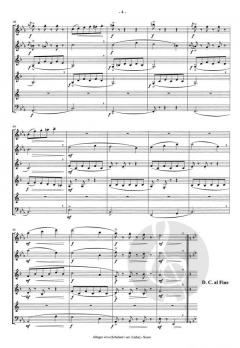 Allegro vivo (Franz Schubert) 