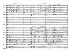 My Favorite Things (Richard Rodgers) 