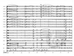 My Favorite Things (Richard Rodgers) 