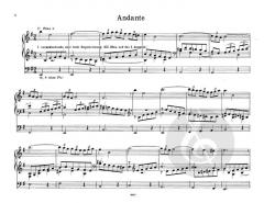 Konzert E-Moll für Orgel von Joseph Ahrens im Alle Noten Shop kaufen