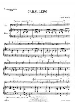 Caballero von J. Isaak Merle 