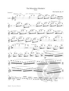 The Working Clarinetist von Peter Hadcock 