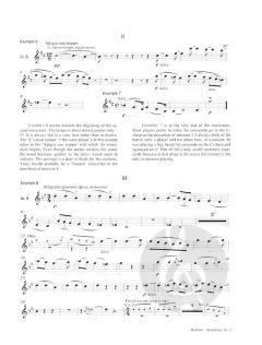 The Working Clarinetist von Peter Hadcock 