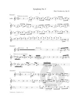 The Working Clarinetist von Peter Hadcock 