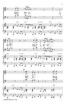 Higher Ground (Stevie Wonder) 