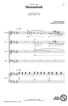 Celebrate America! von Tim Janis 