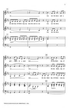 Twelve Or So Days Of Christmas (Traditional English Carol) 